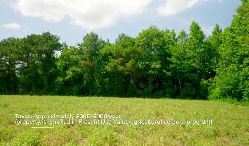 Photo #27 of 3 Bowden, Turkey, NC 11.0 acres