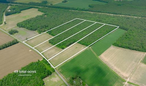 Photo #6 of 3 Bowden, Turkey, NC 11.0 acres