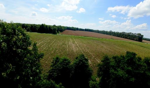 Photo #32 of 3 Bowden, Turkey, NC 11.0 acres