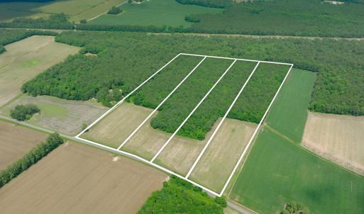 Photo #8 of 3 Bowden, Turkey, NC 11.0 acres