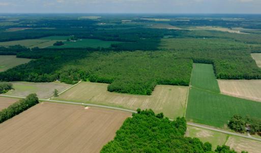 Photo #21 of 3 Bowden, Turkey, NC 11.0 acres
