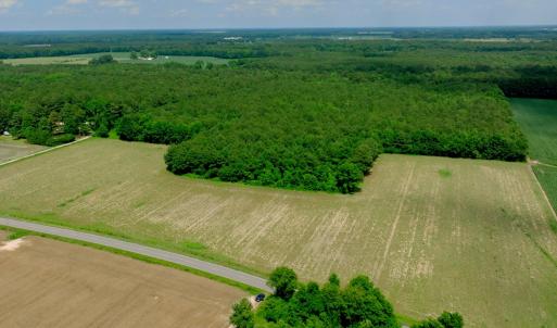 Photo #26 of 3 Bowden, Turkey, NC 11.0 acres