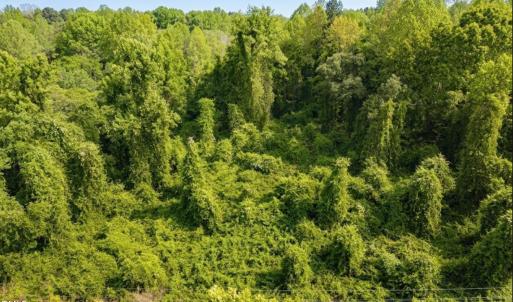 Photo #4 of 8438 Charlie Stovall, Oxford, NC 12.0 acres