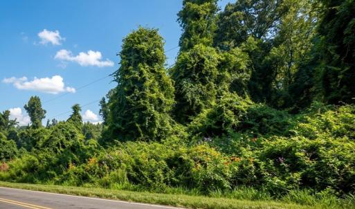Photo #7 of 8438 Charlie Stovall, Oxford, NC 12.0 acres