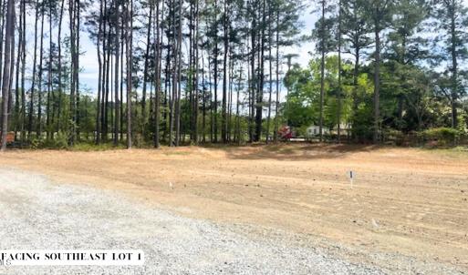 Photo #2 of 55 Weston Sky Ln, Fuquay Varina, NC 0.9 acres