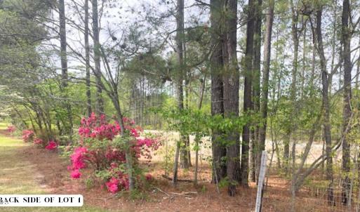 Photo #4 of 55 Weston Sky Ln, Fuquay Varina, NC 0.9 acres