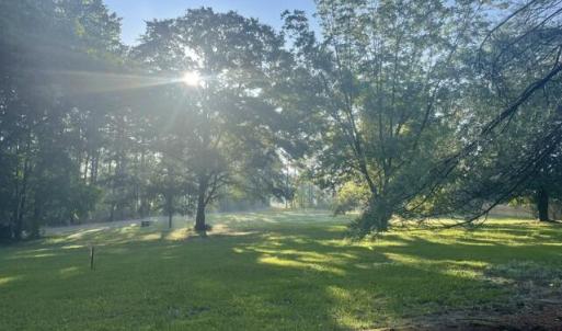 401 Lot 4 pic 2