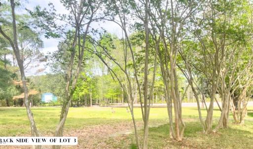 Photo #4 of 155 Weston Sky Ln, Fuquay Varina, NC 0.7 acres