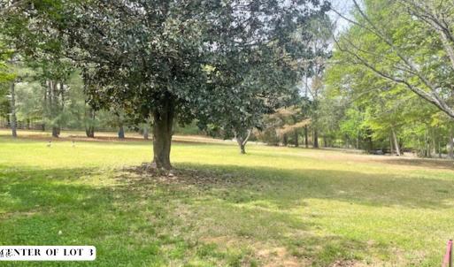 Photo #5 of 155 Weston Sky Ln, Fuquay Varina, NC 0.7 acres