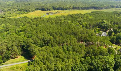 Photo #4 of Laurel Springs, Apex, NC 4.3 acres