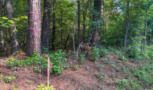 Durham Co. NC 10.09-Rogers-Lot1-35