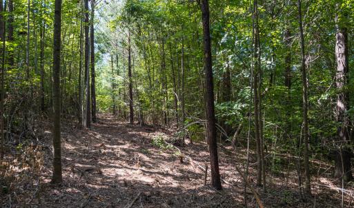 Durham Co. NC 21.73-Rogers-Lot2-033