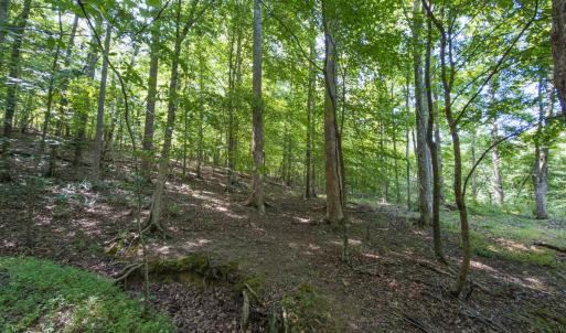 Durham Co. NC 32.68-Rogers-Lot3-037