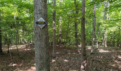 Durham Co. NC 32.68-Rogers-Lot3-039