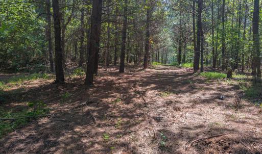 Durham Co. NC 54.42-Rogers-Lot4-012
