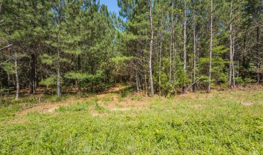 Durham Co. NC 54.42-Rogers-Lot4-017