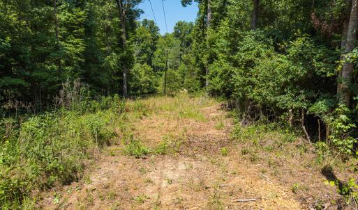 Durham Co. NC 54.42-Rogers-Lot4-022