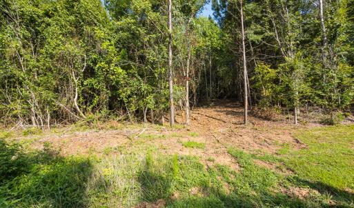 Durham Co. NC 54.42-Rogers-Lot4-027