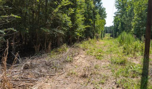 Durham Co. NC 54.42-Rogers-Lot4-030