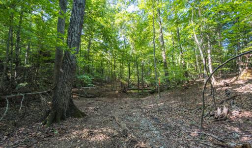 Durham Co. NC 54.42-Rogers-Lot4-034
