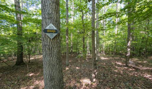 Durham Co. NC 54.42-Rogers-Lot4-037