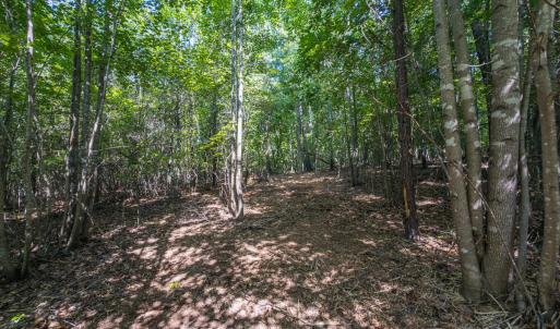 Durham Co. NC 54.42-Rogers-Lot4-047