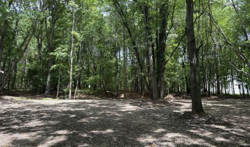 Photo #17 of 1009 Winding Creek, Apex, NC 3.0 acres