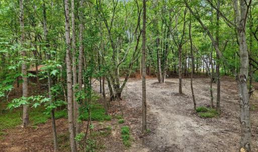 Photo #7 of 1009 Winding Creek, Apex, NC 3.0 acres