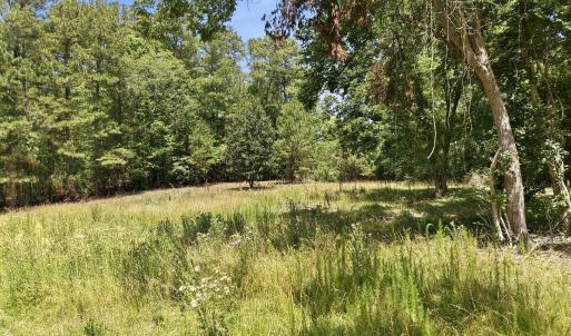 Photo #4 of 2185 Hanks Chapel, Pittsboro, NC 4.0 acres
