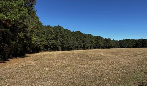 Land1