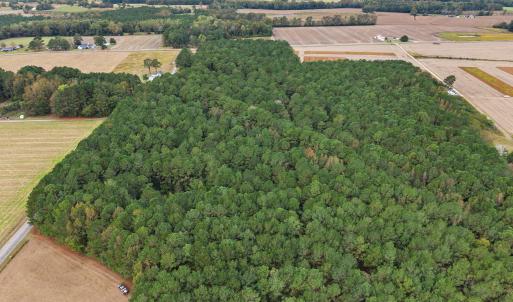 Photo #2 of Crocker, Smithfield, NC 10.8 acres