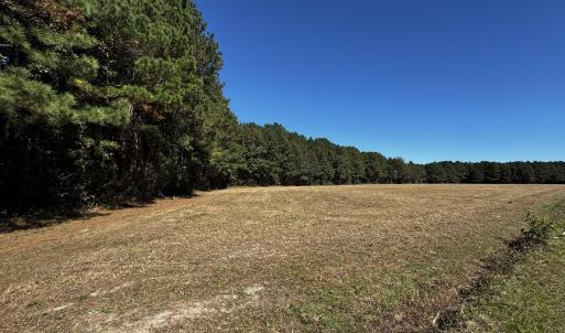 Photo #8 of Crocker, Smithfield, NC 10.8 acres