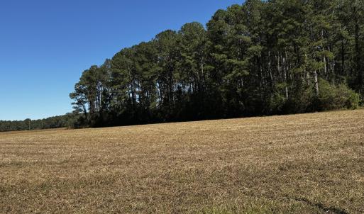 Photo #9 of Crocker, Smithfield, NC 10.8 acres