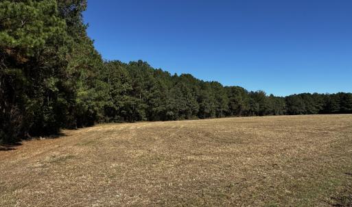 Photo #7 of Crocker, Smithfield, NC 10.8 acres