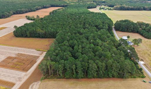 Photo #10 of Crocker, Smithfield, NC 10.8 acres
