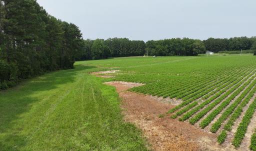 dji_fly_20260715_141002_0299_17841495199