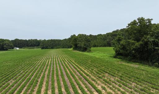 dji_fly_20260715_140958_0298_17841495203