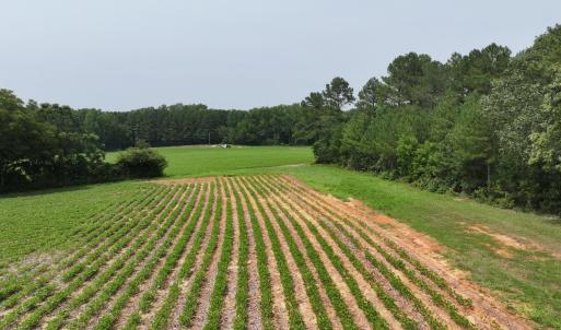 dji_fly_20260715_141054_0304_17841495182