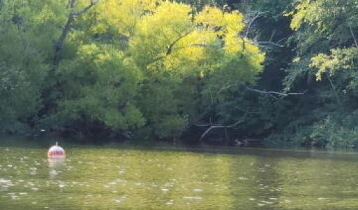 20240801_085416-DESKTOP-8UA5R2A