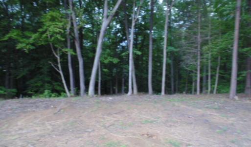 DSC07069