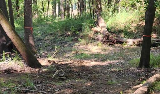 Photo #28 of Kerr Lake, Henderson, NC 3.2 acres