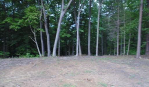 Photo #20 of Kerr Lake, Henderson, NC 3.2 acres