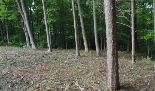 Photo #22 of Kerr Lake, Henderson, NC 3.2 acres