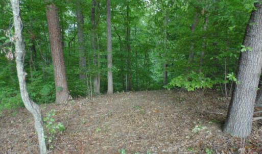Photo #21 of Kerr Lake, Henderson, NC 3.2 acres