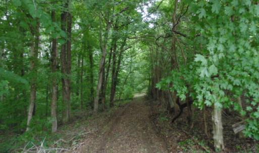 Photo #17 of Kerr Lake, Henderson, NC 3.2 acres