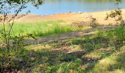 Photo #24 of Kerr Lake, Henderson, NC 3.2 acres