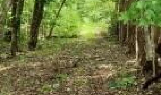 Photo #23 of Kerr Lake, Henderson, NC 3.2 acres