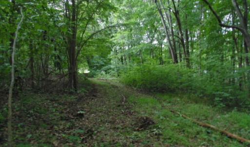 Photo #19 of Kerr Lake, Henderson, NC 3.2 acres