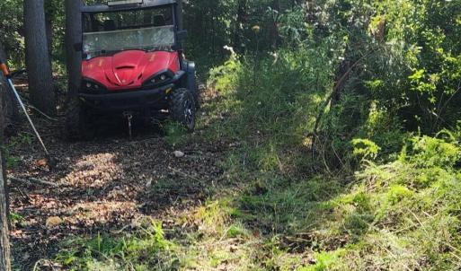 Photo #25 of Kerr Lake, Henderson, NC 3.2 acres