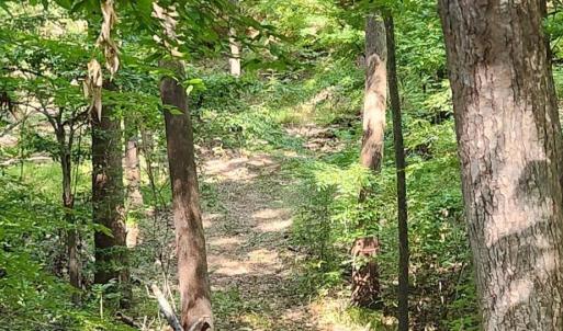 Photo #26 of Kerr Lake, Henderson, NC 3.2 acres